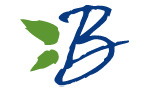 blueberry-2